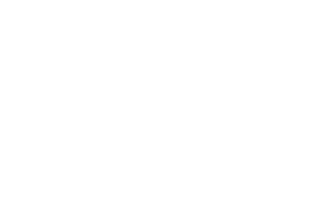 DVSTraining